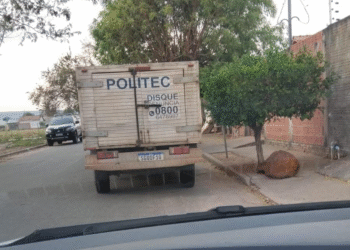 Jovem de 20 anos é morto a tiros em Cáceres