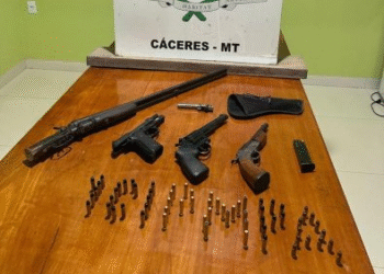 Homem é preso por crime ambiental em Cáceres