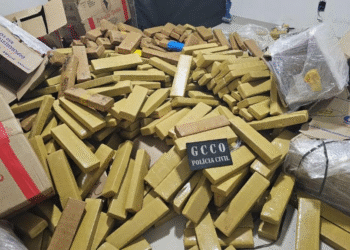 MT apreende 36 toneladas de drogas