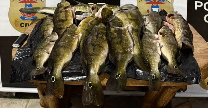 Polícia Civil combate pesca predatória em Canarana