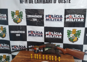 Homem é preso com armas ilegais em Lambari D’Oeste