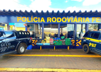 Apreendidos 485 kg de maconha em Rondonópolis