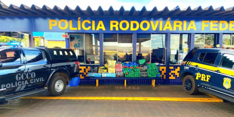 Apreendidos 485 kg de maconha em Rondonópolis