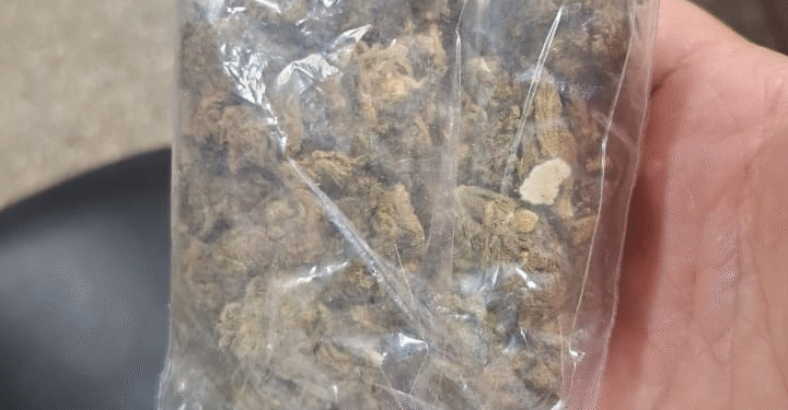 Aluno é flagrado com maconha em escola de Cáceres