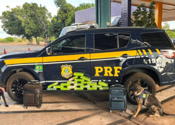 PRF apreende maconha em ônibus em Cuiabá