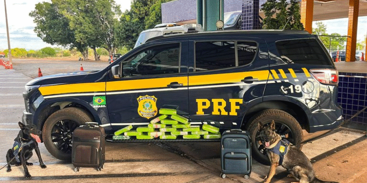 PRF apreende maconha em ônibus em Cuiabá