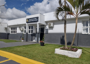 Operação combate crimes sexuais em MT