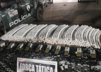 Homem é preso com explosivos e drogas em MT