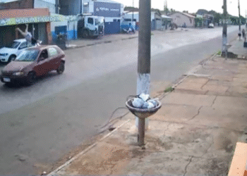 Idosa de 74 anos morre atropelada