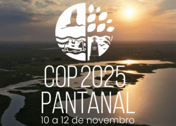 COP 30