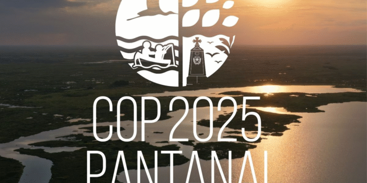 COP 30