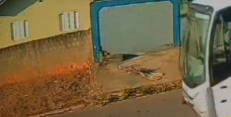 Ônibus da Friboi atropela ciclista