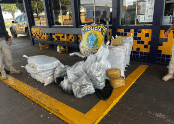 PRF apreende drogas e pneus ilegais em MT