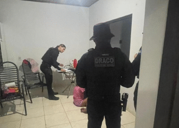 PC desmantela grupo em Sinop