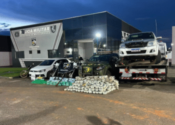 Apreensão de 376 kg em MT