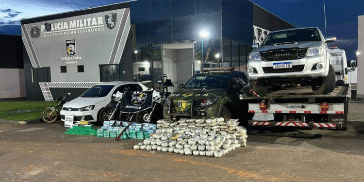 Apreensão de 376 kg em MT