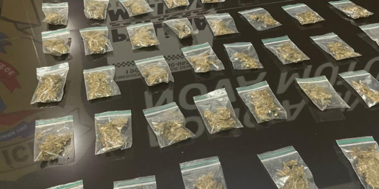 PM Apreende Jovem do Tráfico