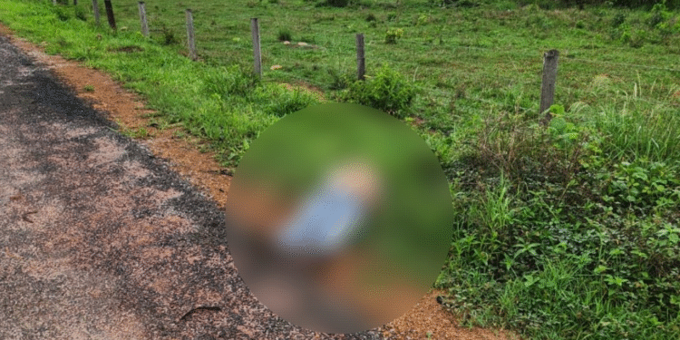 Polícia investiga morte violenta na MT-343