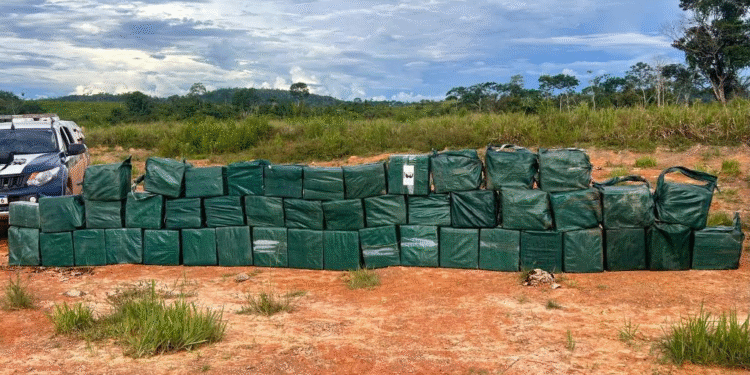 Apreensões de drogas sobem 82% em MT