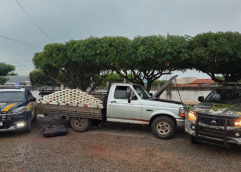 GEFRON apreende 78 kg de droga em Cáceres