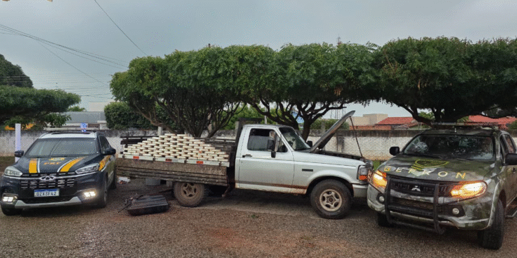 GEFRON apreende 78 kg de droga em Cáceres