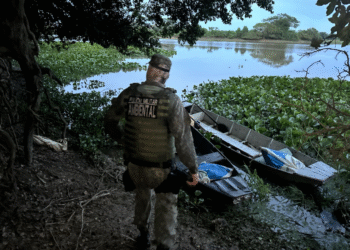 PM Ambiental apreende mais de 80 kg de pescado ilegal em Cáceres