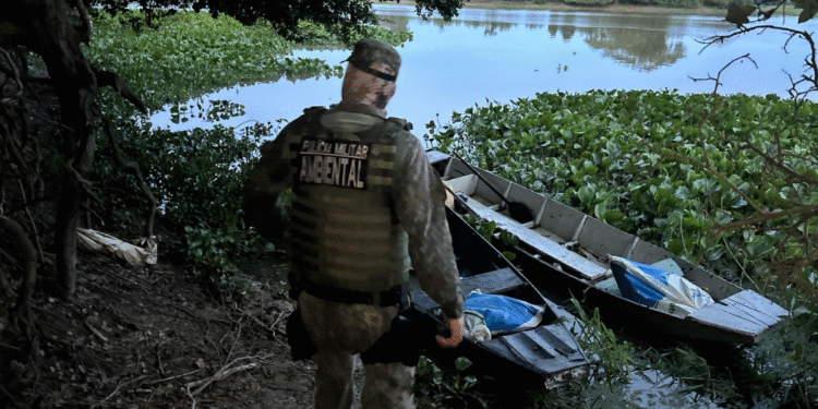 PM Ambiental apreende mais de 80 kg de pescado ilegal em Cáceres