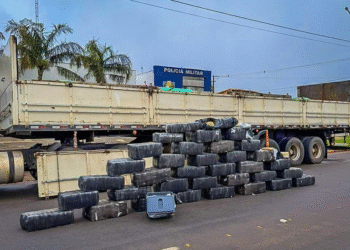 Ação integrada apreende cerca de 800 quilos de drogas em Nova Mutum
