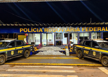 PRF apreende quase 300 kg de skunk escondidos em caminhão na BR-364, em MT