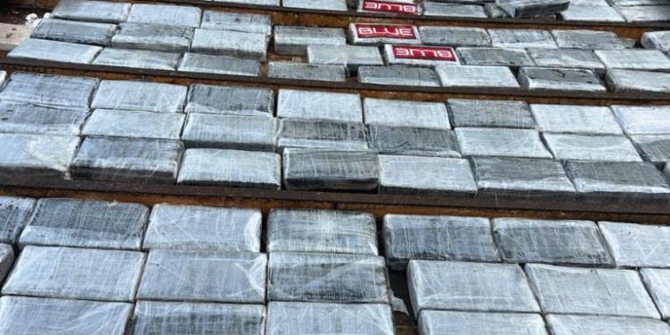 Bope apreende mais de 2,2 toneladas de drogas em 2025 e causa prejuízo milionário às facções em Mato Grosso