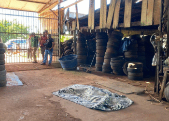 Homem é morto a tiros em borracharia próxima ao rio Guaporé, em Vila Bela da Santíssima Trindade