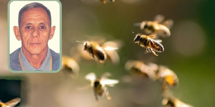 Motorista morre após ataque de enxame de abelhas em fazenda em Cáceres