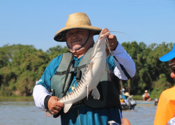 Fim da piracema libera pesca em Mato Grosso a partir deste sábado