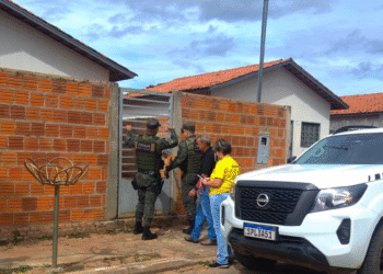 Dois cães em situação de abandono são resgatados no Residencial Vila Real, em Cáceres