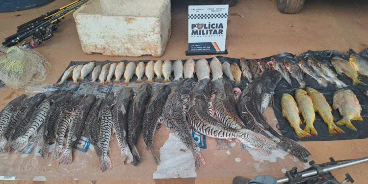 Pm apreende 48 peixes irregulares e prende dois por crime ambiental em São José dos Quatro Marcos