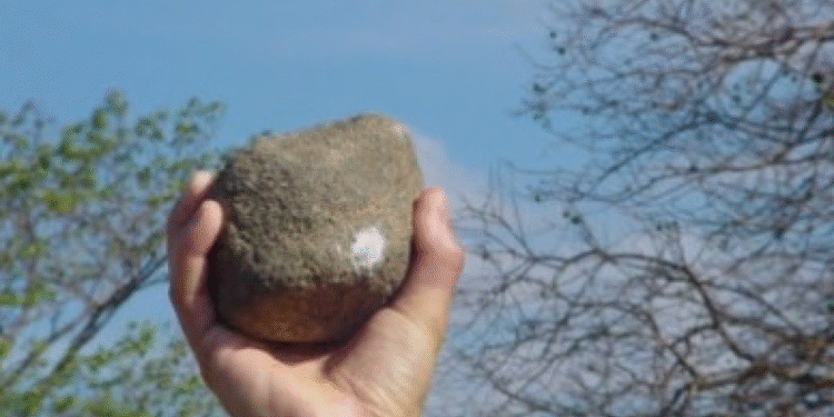 Mulher reage a agressão com faca e sobrevive a ataque em Barra do Garças