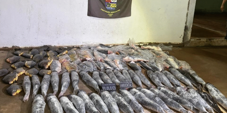 Homem é preso com 340 quilos de pescado ilegal durante bloqueio policial em MT