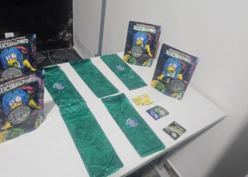 Polícia Militar apreende folha de coca e prende dois suspeitos na zona rural de Porto Esperidião