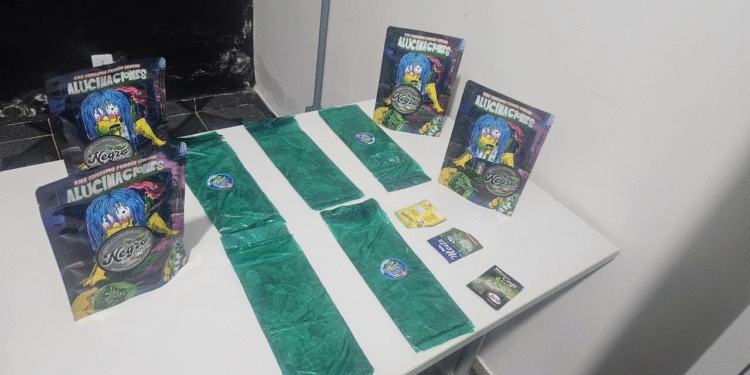 Polícia Militar apreende folha de coca e prende dois suspeitos na zona rural de Porto Esperidião