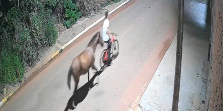 Idoso de 74 anos procura cavalo furtado em terreno no bairro Jardim Celeste, em Cáceres