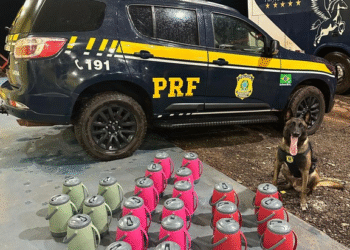 PRF apreende mais de 10 kg de drogas escondidas em garrafas térmicas dentro de ônibus em MT