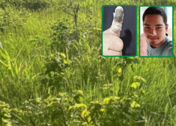 Politec identifica corpo encontrado no Bairro Junco através de técnica de recuperação dérmica