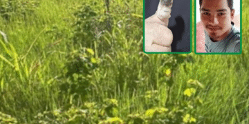 Politec identifica corpo encontrado no Bairro Junco através de técnica de recuperação dérmica